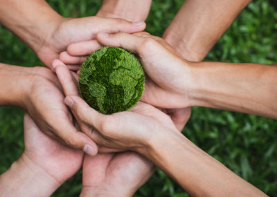 Cropped image of man holding leaf