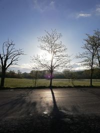 Bare trees on field against sky