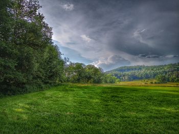 Scenic view of grassy field against sky