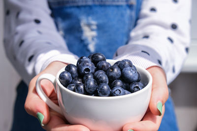 Woman holding bowl with fresh blueberries. harvesting concept. female hands collecting berries. 