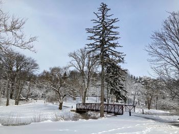 snow