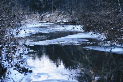 Scenic view of lake in forest during winter