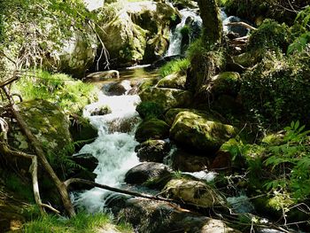 Scenic view of waterfall