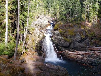 Scenic view of waterfall in forest