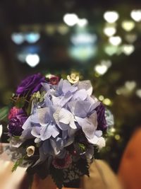 Close-up of flowers against blurred background