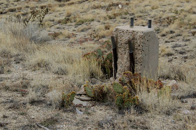 Close-up view of stone wall