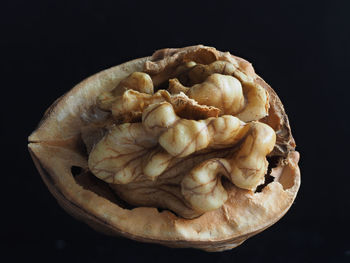 Close-up of dried food against black background