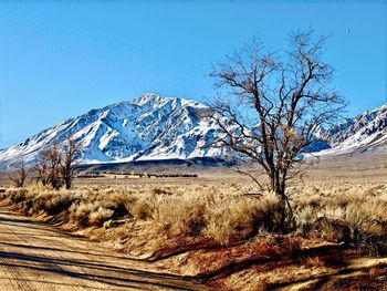 Scenic view of snowcapped mountains against clear blue sky