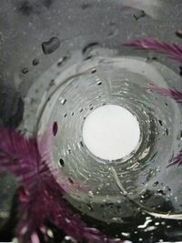 Close-up of water drops