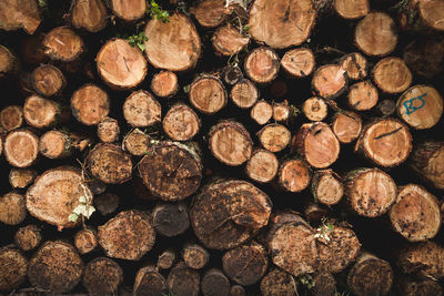 Full frame shot of logs