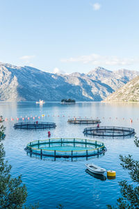 Big cages for fish farming in montenegro