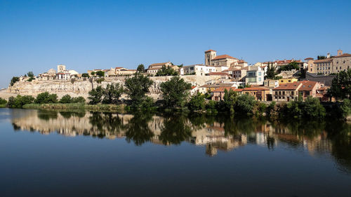 Reflection of trees in town against clear blue sky