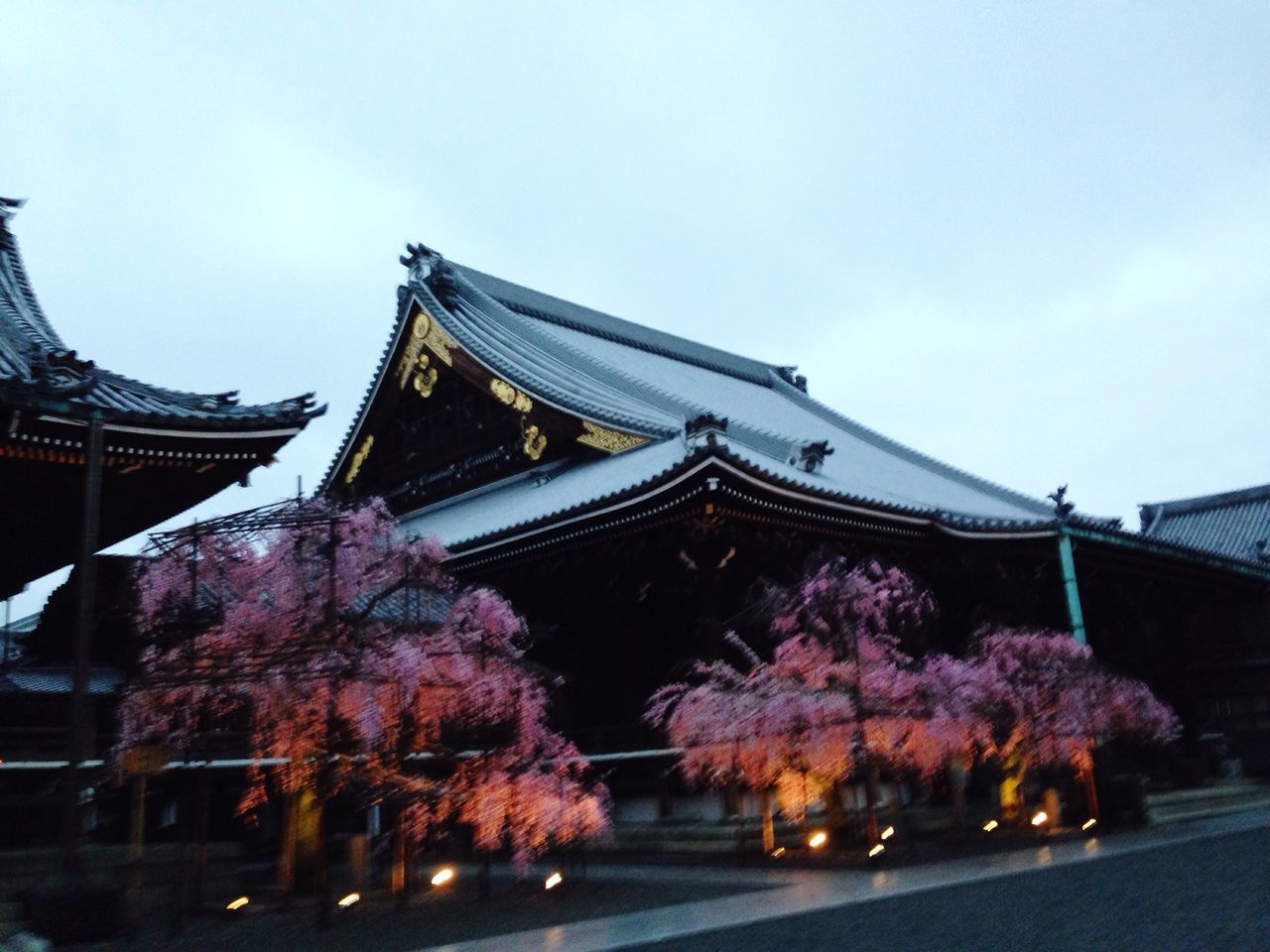 low angle view, building exterior, architecture, built structure, sky, tree, tradition, flower, city, outdoors, decoration, illuminated, cultures, temple - building, pink color, place of worship, culture, religion, celebration, day