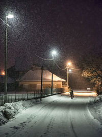 Illuminated street light on road in winter at night