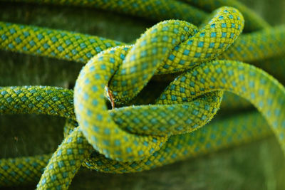 Close-up of rope