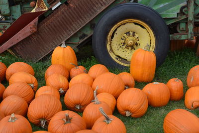 Full frame shot of pumpkins on field