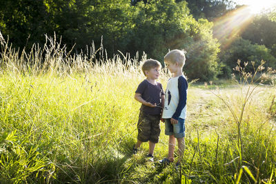 Boys on meadow