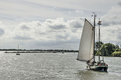 Traditional sailing barge on lake ijsselmeer