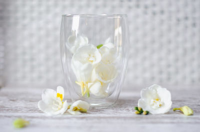 Close-up of white flower in glass on table