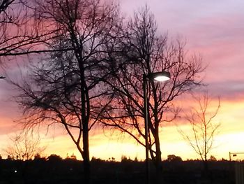 Silhouette of trees at sunset