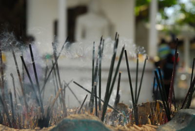 Close-up of incenses burning outside temple