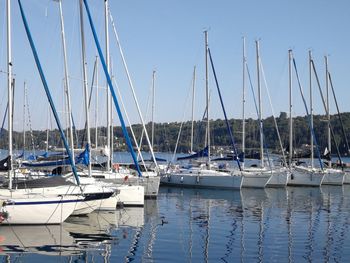 Sailboats moored in harbor