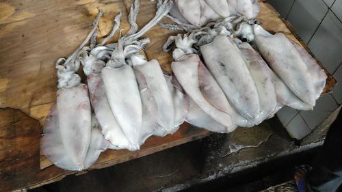 High angle view of fish on plate