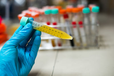 Cropped hand holding test tube in laboratory