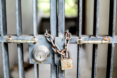 Close-up of locked metal gate