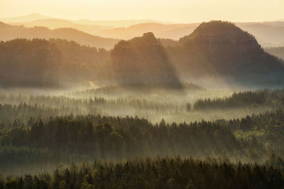 Panoramic view of forest against sky during sunset