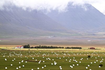Scenic view of field against cloudy sky