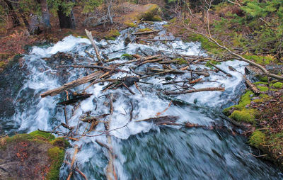 Close-up of waterfall in forest