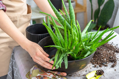 Midsection of man planting plant