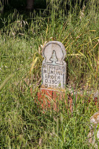 Close-up of text on grass