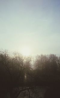 Bare trees on landscape against clear sky