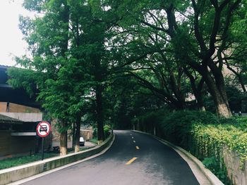 Empty road along trees