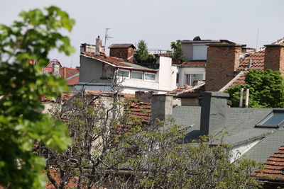 Houses with trees in background