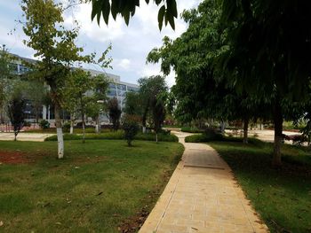 Footpath in park