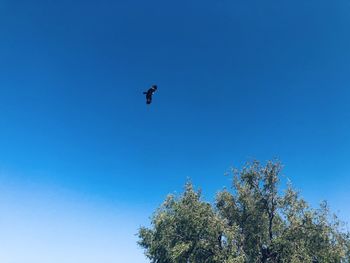 Low angle view of person paragliding against clear blue sky