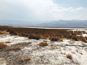 Scenic view of beach against sky