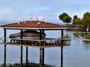 Wooden boathouse and herons by lake against sky