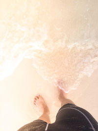 Low section of person standing on beach