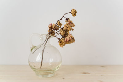 Close-up of flowers in vase