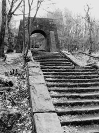 Arch bridge with trees in background