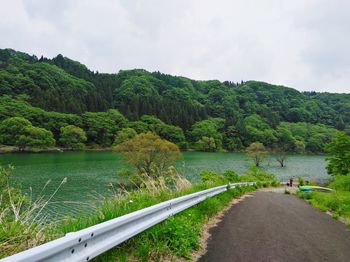 Scenic view of river by trees against sky