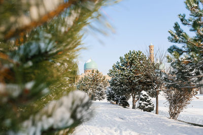 Tashkent, uzbekistan. december 2020. old town in winter