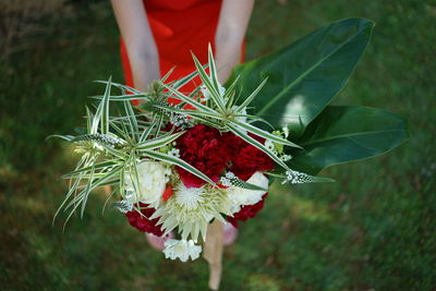 Close-up of hand holding red flower