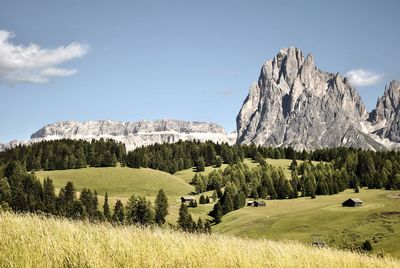 Panoramic view of landscape against sky