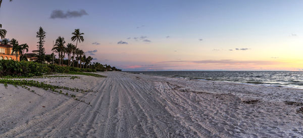 Scenic view of beach during sunset