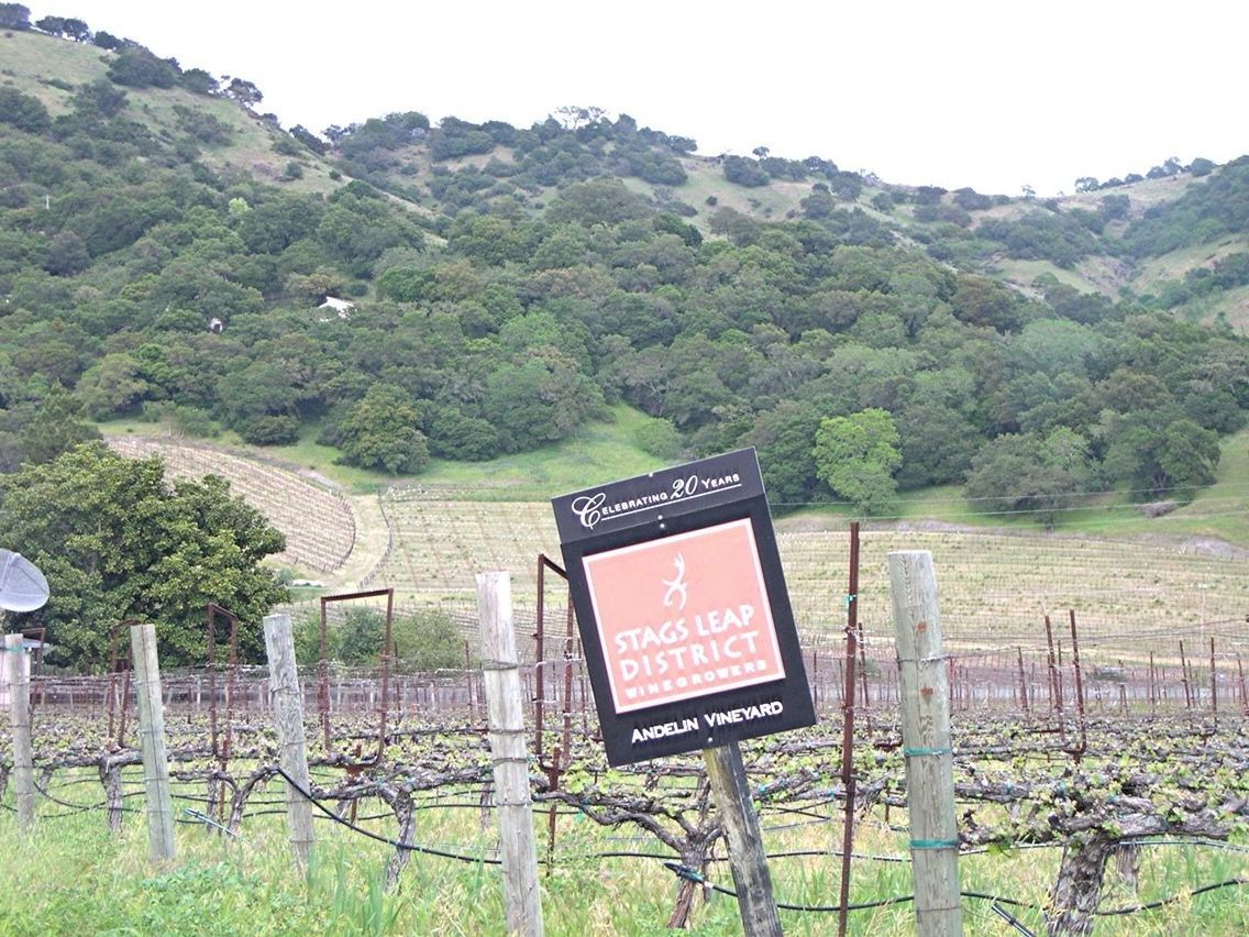 Stags Leap vineyard